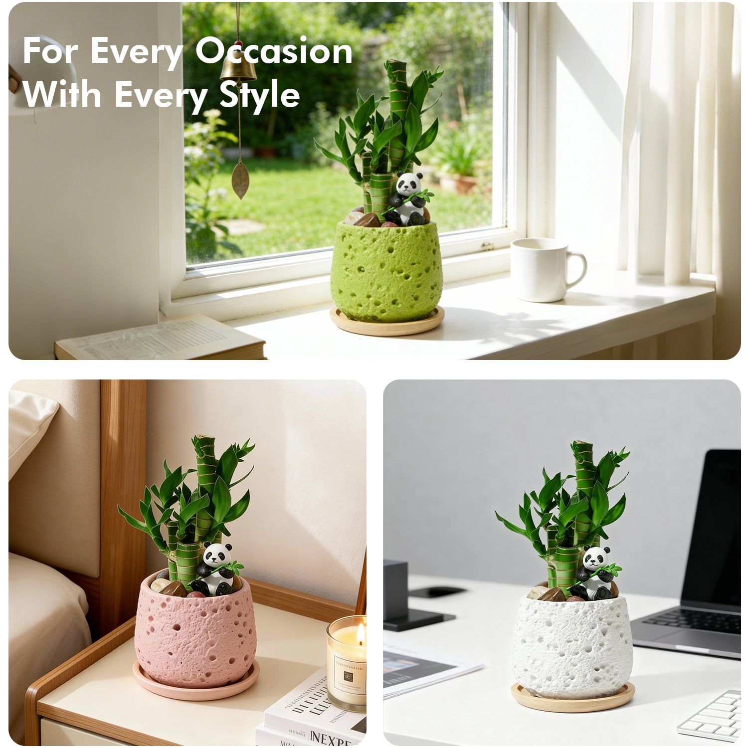Lucky Bamboo Decor 2-Pack – Feng Shui Indoor Desk Plant Arrangement with Ceramic Pot, Good Luck & Wealth Home Office Accent