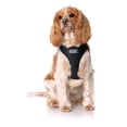 thumbnail image 4 of DOOG - Neoflex Dog Soft Harness Lassie - Extra Small, 4 of 7