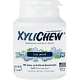 thumbnail image 1 of Xylichew Ice Mint Gum Jar 60 PC, 1 of 1