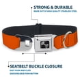 thumbnail image 4 of Buckle-Down Pet Collar, Dog Collar Metal Seatbelt Buckle, Neon Orange, 11 to 16.5 Inches 1.0 Inch Wide, 4 of 8