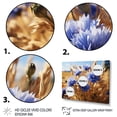 thumbnail image 3 of Designart "Cornflowers landscape VII" Floral Floater Framed Wall Art Print, 3 of 7