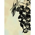 thumbnail image 3 of Burghardt, James 15x18 Black Modern Framed Museum Art Print Titled - Orchid Blush Panels II, 3 of 5