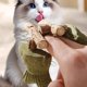 thumbnail image 3 of Juguete masticable natural para gatos con forma de espina de pescado, hierba gatera Silvervine, palo masticable, cuidado dental, palo de limpieza para gatos, juego interactivo, salud bucal, 3 of 8