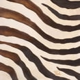 thumbnail image 3 of Pinto, Patricia 15x15 Black Modern Framed Museum Art Print Titled - Contemporary Zebra IV, 3 of 5