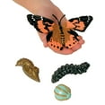Insect Lore Caterpillars to Butterfly Kit, Deluxe 18 Voucher for 5 Caterpillars, Butterfly