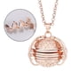 thumbnail image 3 of Collar con medallón de foto expandible de moda, amuletos de regalo, decoración, regalos conmemorativos oro rosa, 3 of 7