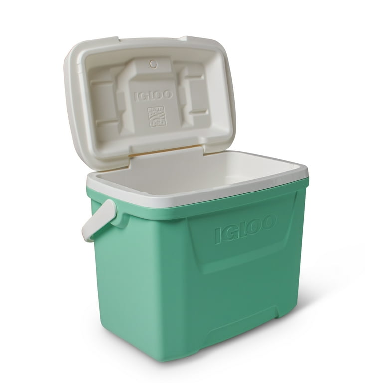 Mint green igloo store cooler