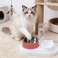 thumbnail image 5 of Elevated Cat and Dog Bowl with Water Dispenser, 2 in 1 Food and Water Bowls, Tilted Stainless Steel Feeding Station for Small Pets, 5 of 6