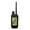 Alpha 300 (GPS Only, variant on Garmin Alpha 300 (GPS Only) Dog Tracker Handheld Bundle with PlayBetter Portable Charger & Tether Lanyard