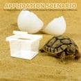 thumbnail image 4 of SEWCHICS 30Pcs Transparent Snake Hatching Cage and Reptile Terrarium for Small Pets, 4 of 7