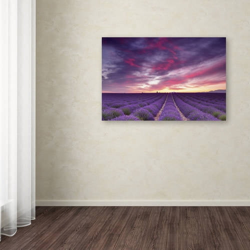Trademark Fine Art 'Pink and Purple' Canvas Art by Michael Blanchette Photography