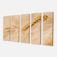 thumbnail image 2 of Cereal Plants Barley - Floral Canvas Art Print, 2 of 3