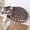 C, variant on Front Door Mat,Door Mats Outdoor Entrance,30*16IN Welcome Cat Front Door Mat, Funny Home Entryway Decor Indoor Outdoor Non-Slip Doormat, Entrance Mat Rug Outside Patio/Inside Entry Way(D)