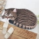 thumbnail image 5 of Alfombra de Bienvenida con Diseño de Gatito En 3D, 40 X 76 Cm, Antideslizante, Ideal para El Verano. Alfombra Divertida y Original para Interiores y Exteriores., 5 of 7