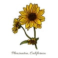 thumbnail image 4 of Pleasanton, California, Prairie Sunflower (19x27 inches, Premium 500 Piece Jigsaw Puzzle for Adults and Family, Made in USA), 4 of 4