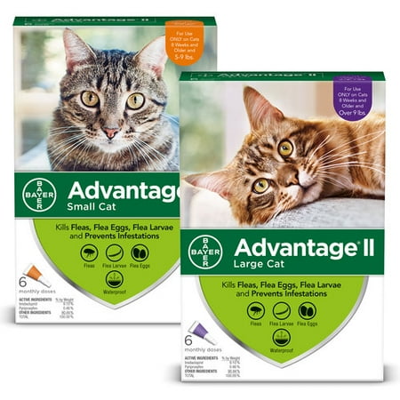 - 10% Off! Advantage II Flea Treatment for Cats Discount 2-Pack Bundle