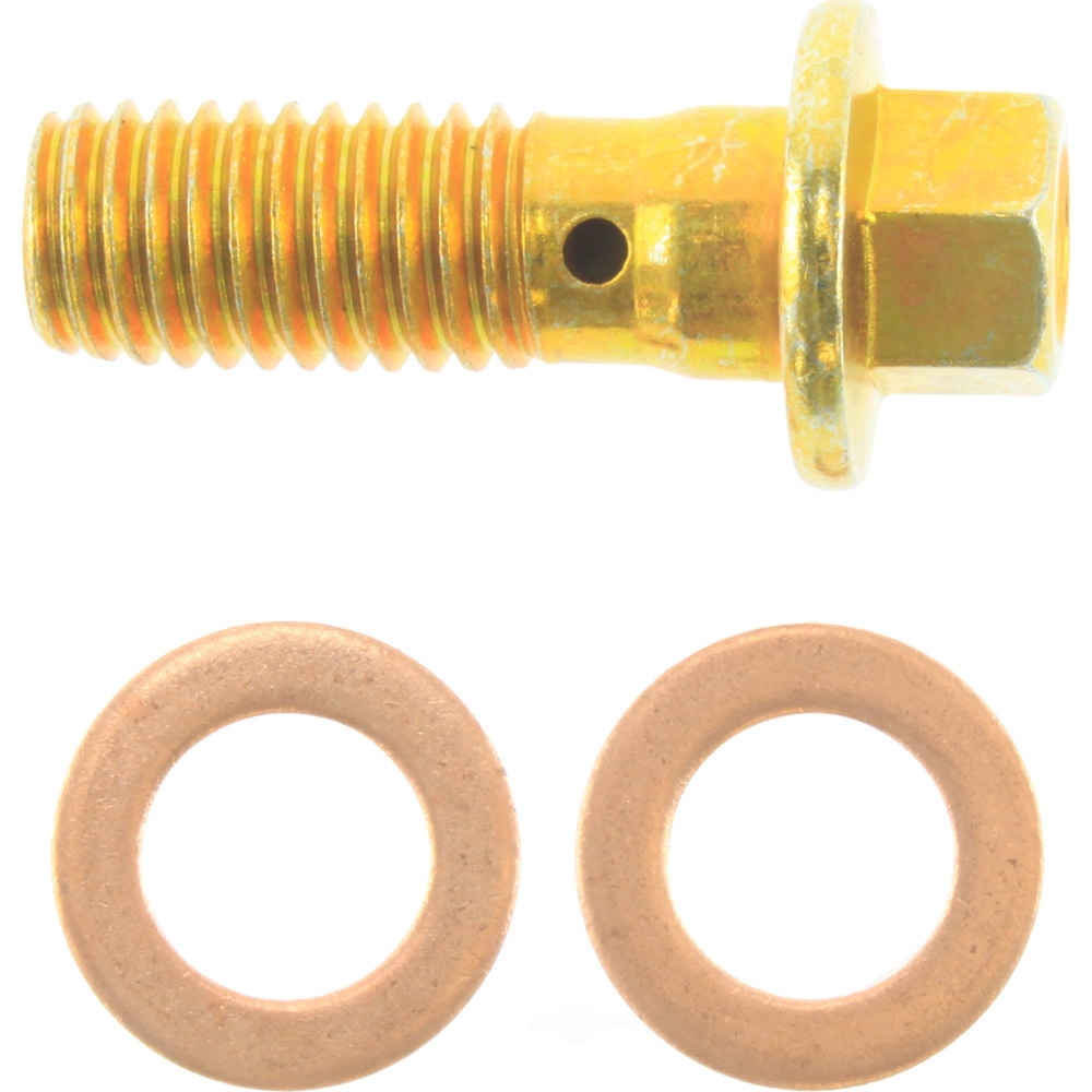 Centric Parts 142.63528 Centric Posi-Quiet Loaded Disc Brake Calipers