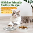 thumbnail image 2 of 10-Pack Stainless Steel Cat Food Bowls, Shallow Whisker-Friendly Non-Slip Silicone Base Metal Dishes, Easy to Clean Indoor Feeding Flat Plates for Cat, Kitten, Small Dog, 2 of 7