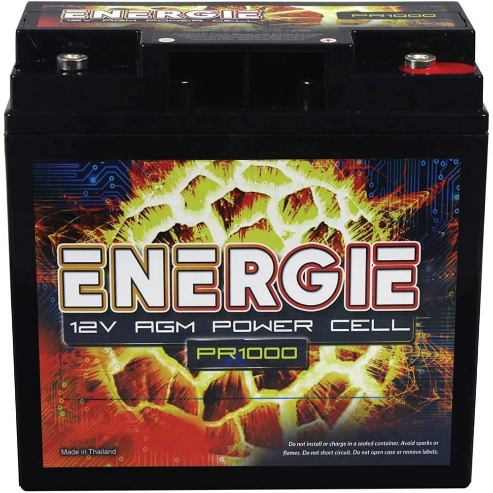 Energie Absorbed Glass Mat 12 Vehicle Battery, 1000 CCA