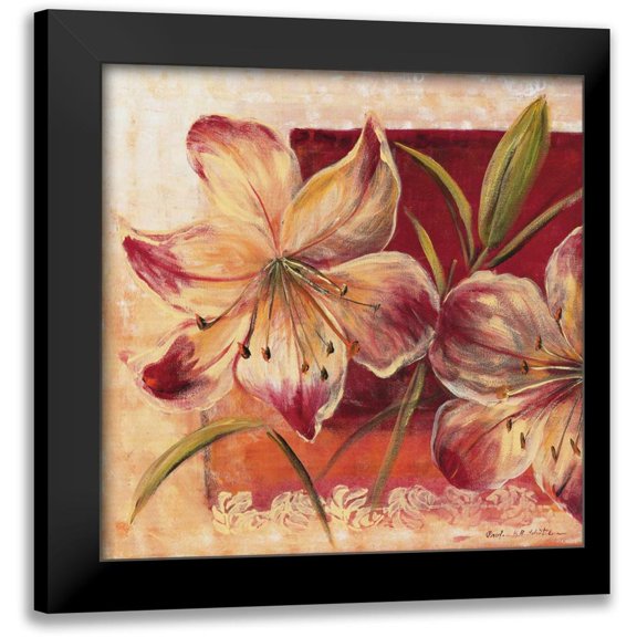 Schottler, Katharina 12x12 Black Modern Framed Museum Art Print Titled - Classic Flower lll