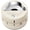 Cream, variant on Caraway Mechanical Kitchen Timer - Stainless Steel 60 Minute Wind Up Timer - Side and Top Display for Cooking, Baking, and Daily Routines - Sage
