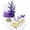 Purple Monarch, variant on Sugar Robot Edible Butterflies for Cake Decorating- Ombre Monarch Butterfly- Cake Toppers and Cupcake Toppers - Premium Crafted (Purple)