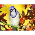 thumbnail image 1 of Taladro Diamante Pintura (DE4475) 5D DIY Pájaro completo Punto de cruz Mosaico (B098) 50x70cm FLhrweasw Nuevo, 1 of 1