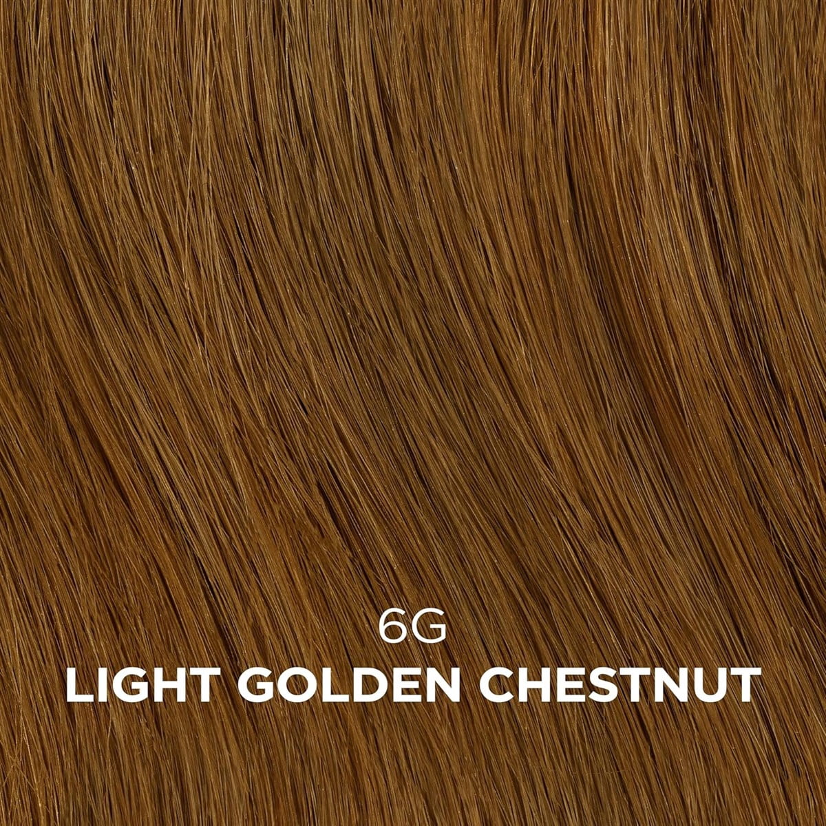Clairol Beautiful (AGS) Advanced Gray Solution Collection #6G Light Golden Chestnut 3oz (Pack of 6)