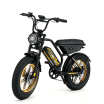 1500W 28mph Moutain Ebike,Electric Bike for Adults, 48V 15.6AH 20" Fat Tire Electric Bicycle Full Suspension UL2849