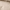 Papyrus Beige, variant on Better Homes & Gardens Rose Chambray Quilt, Full/Queen
