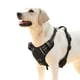 thumbnail image 1 of Arnés para perro HEELE antitirones, ajustable, acolchado y reflectante, talla XL, 1 of 1