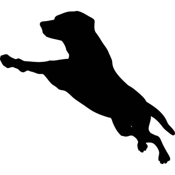 Happy Jumping Dog Puppy Picture – Childrens Animal Removable Stick On Print Sticker - Vinyl Wall Decal – 12x12