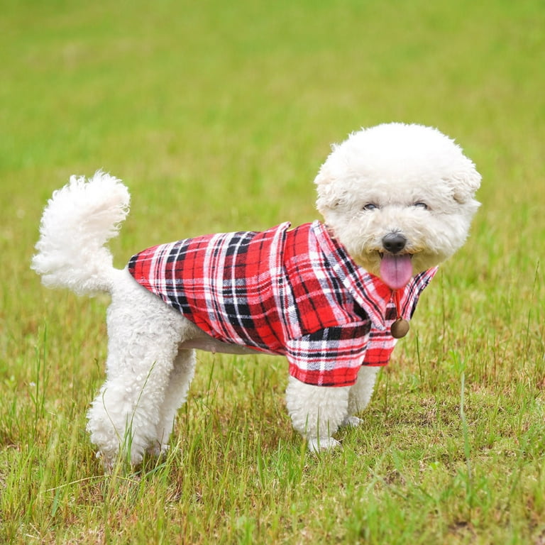 Female dog sweaters discount
