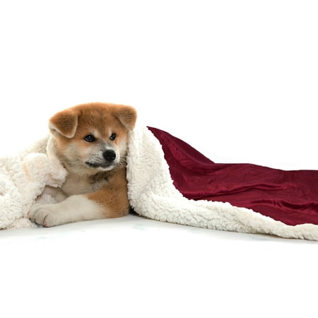 Pet Blankets For Sofa KritterWorld Pet Dog Cat Puppy Kitten Microplush Sherpa Snuggle Blanket for Couch, Car, Trunk, Cage, Kennel, Dog House, 45