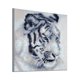 thumbnail image 1 of Bordado de diamantes de dibujos animados Animal Diamante de imitación punto de cruz DIY cristal arte costura hogar Oficina bordado pintura kenally JJ19120-01, 1 of 6