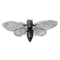 thumbnail image 3 of CafePress - Cicada Mug - 11 oz Ceramic Mug - Novelty Coffee Tea Cup, 3 of 6