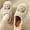 Beige, variant on Lilgiuy Women's Cute Slippers Warm Winter Slippers Soft Fleece Plush House Indoor Outdoor Slippers for Daily Life