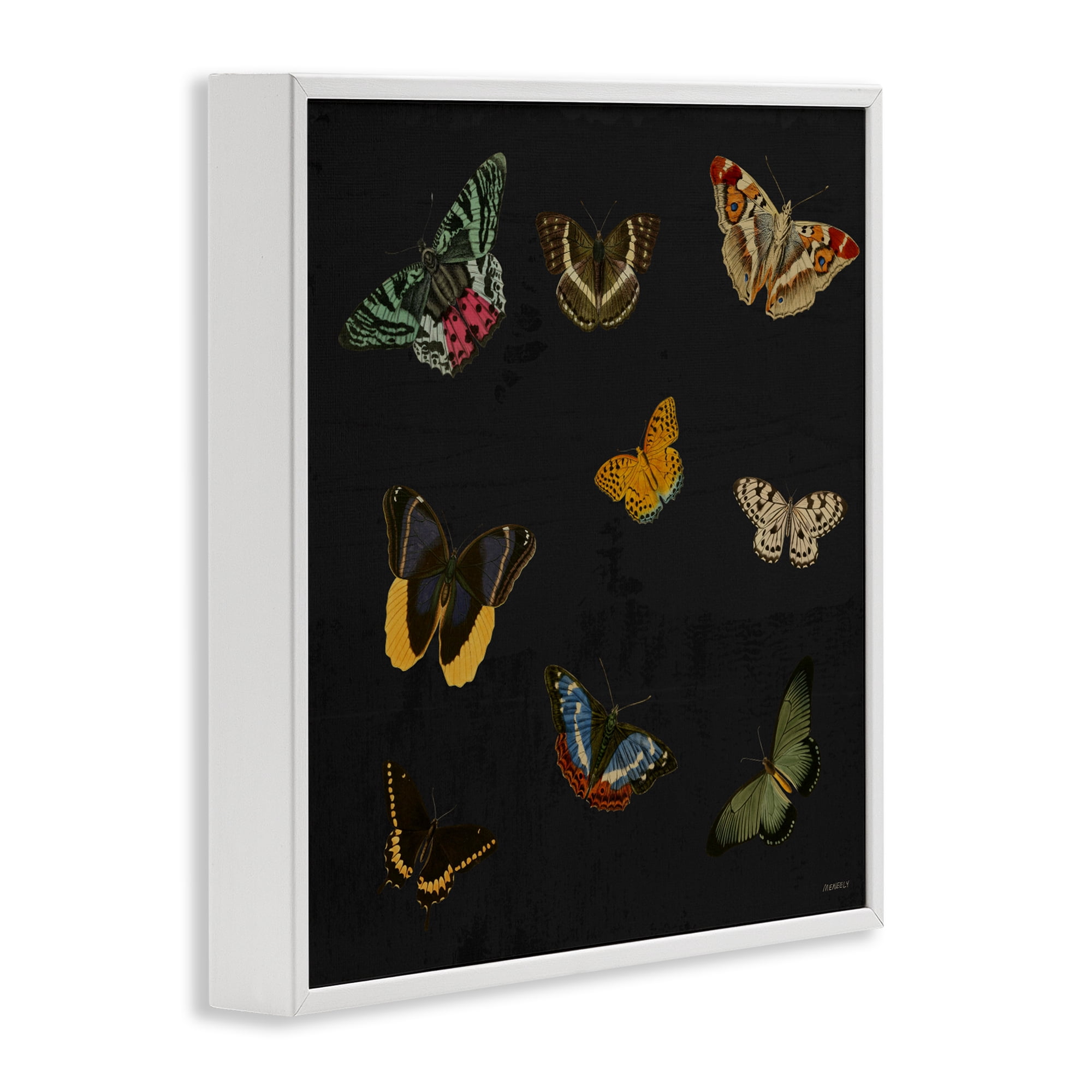 Stupell Industries Butterfly & Moth Collection White Framed Giclee Art, design by Dan Meneely