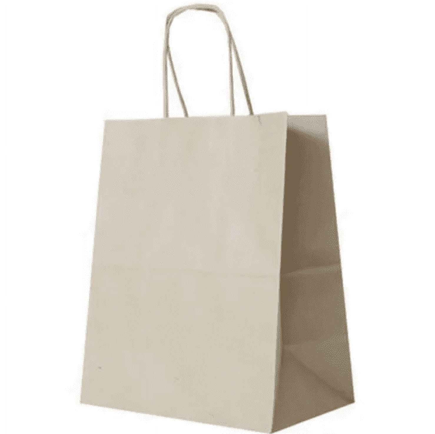 JAM Paper Kraft Brown Gift Bags, 10 x 13.25 x 5, 1/Pack
