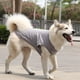 thumbnail image 1 of Xiao Hua Chaleco transpirable para perros y gatos, sudadera para cachorros, ropa para perros, abrigos para perros pequeños, medianos y gatos, M, A31, 1 of 4