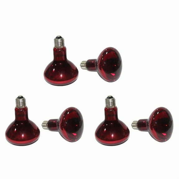 6 Pack 100W Reptile Heater Bulbs, Amphibian Infrared Sunning Bulbs, Reptile Heater Bulbs ForTurtles, Lizards and More.