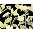 thumbnail image 3 of Popp, Grace 14x12 Black Modern Framed Museum Art Print Titled - White Night Flowers I, 3 of 5