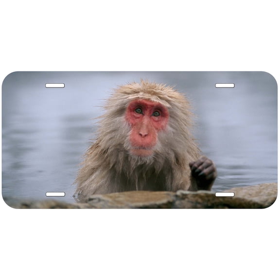 Monkey TAG16 Novelty Car Auto License Plate