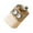 Big eye 2, variant on Travel Friendly Toothpick Box Dustproof Toothpick Jar Waterproof Toothpick Container Toothpick Holders for Kitchen Use