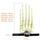 thumbnail image 5 of Extensiones de dedos articuladas para Halloween de Novelty Props Magoog, 5 of 8