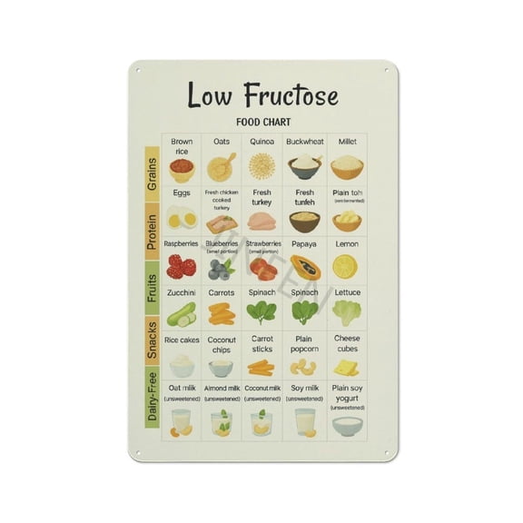 Low Fructose Food Chart Poster Healthy Diet List Guide KitchenRusted Fashionable Bar Art Painting