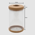 thumbnail image 2 of 2Pcs Clear Hydroponic Flower Pot Planter for Grow Small Potted Plants, 2 of 8
