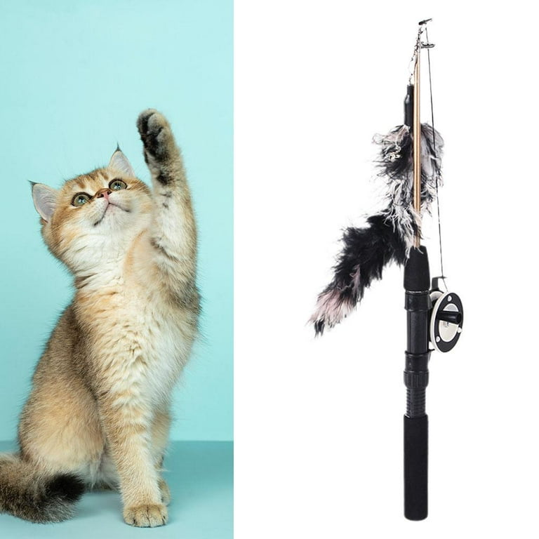 Interactive Funny cat Toy Fishing Pole Cute Design Colorful for