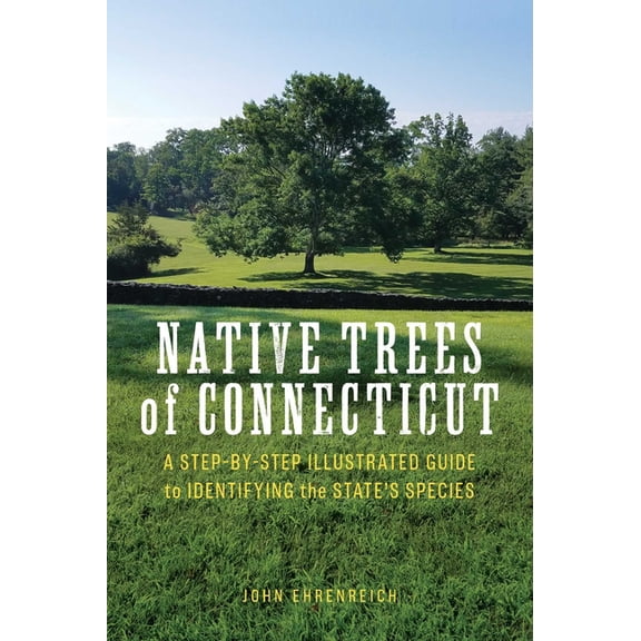 Native Trees of Connecticut: A Step-By-Step Illustrated Guide to Identifying the State's Species, (Paperback)