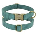 thumbnail image 1 of Personalize Leather Collar with Buckle - Engrave Your Pet's ID, 1 of 15